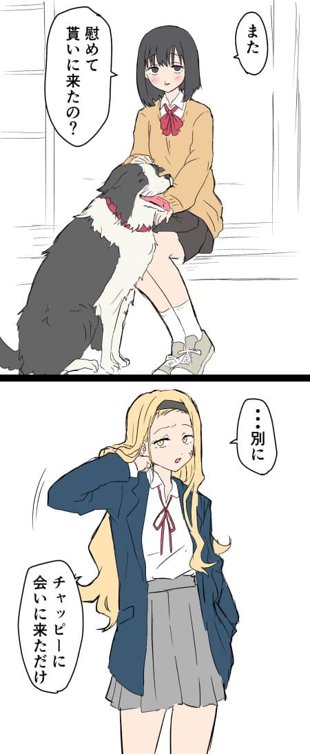Reply image .jpg
