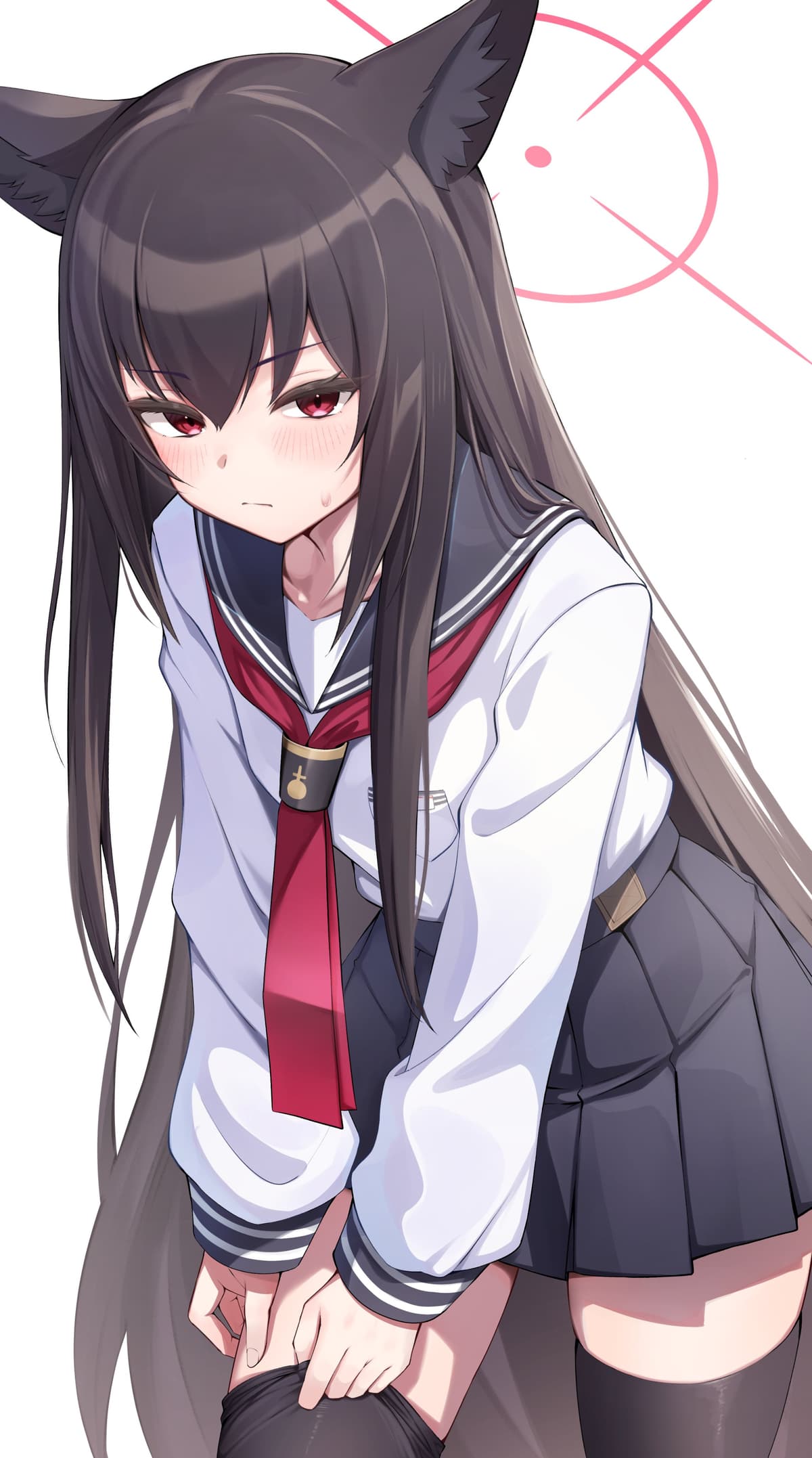 Reply image .jpg