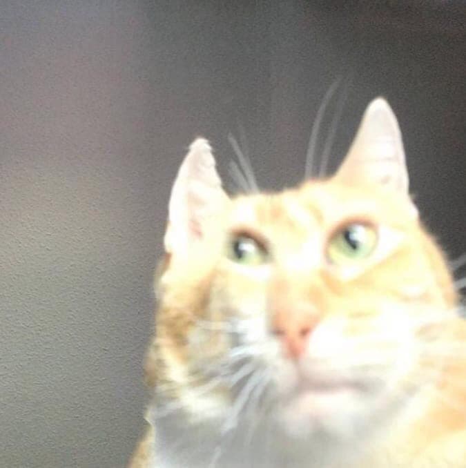 Thread image