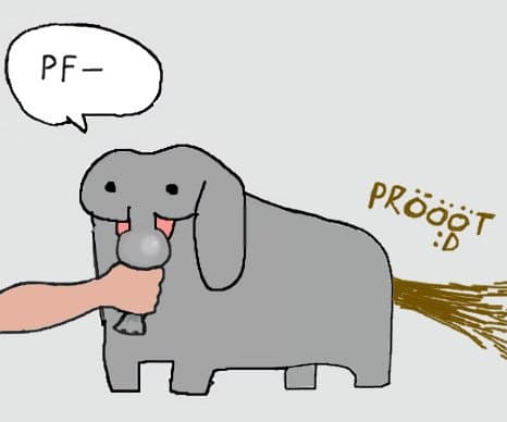 Reply image .jpg