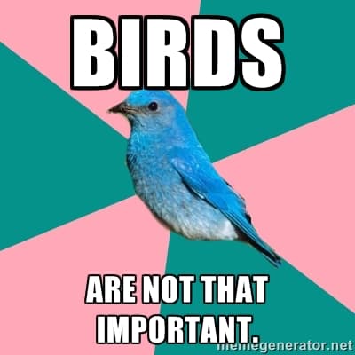 Reply image .jpg
