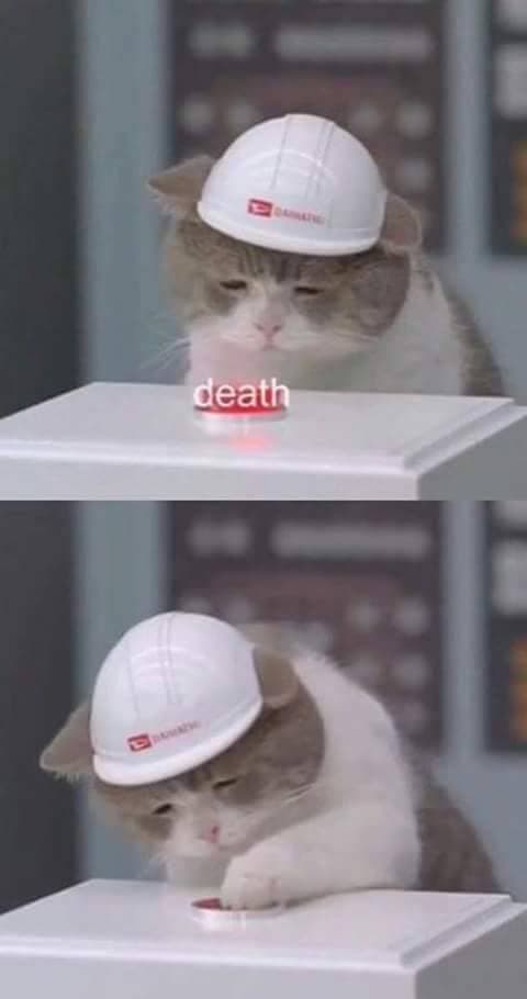 Reply image .jpg