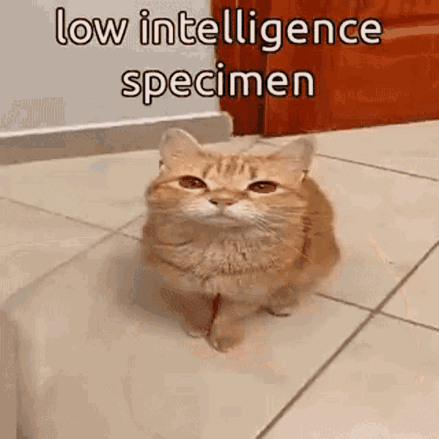 Reply image .gif