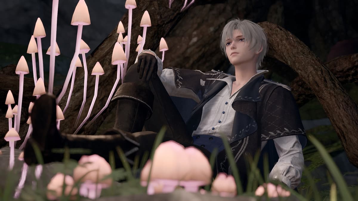 Reply image .jpg