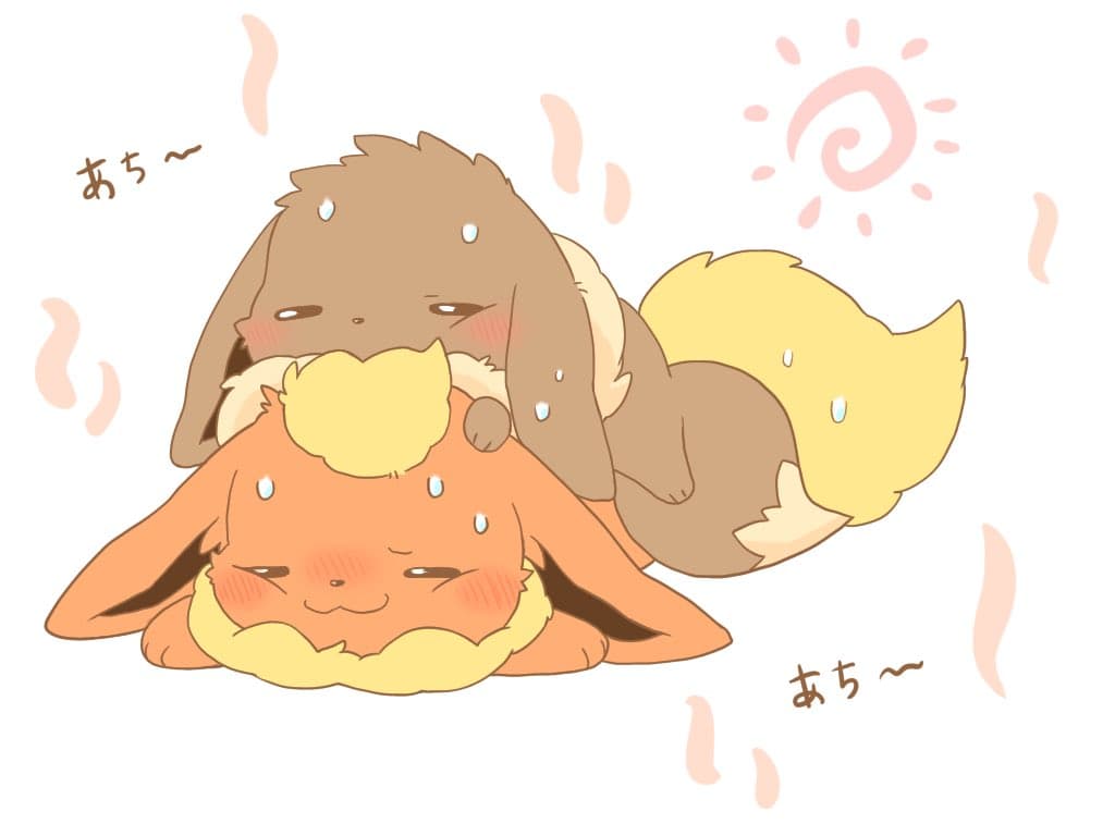 Reply image .jpg