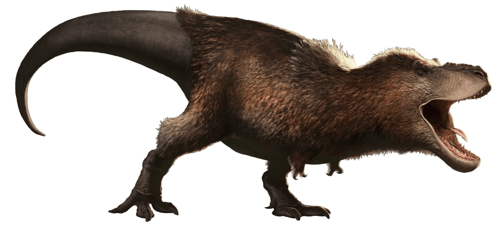 Reply image .png