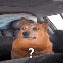 Reply image .gif
