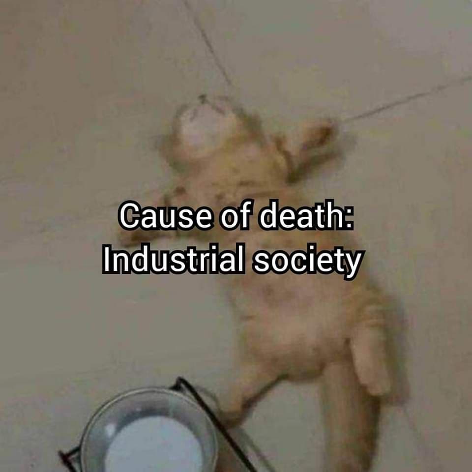 Reply image .jpg