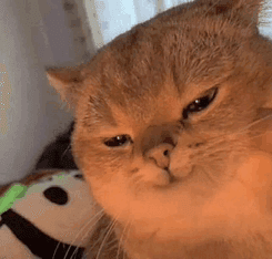 Reply image .png