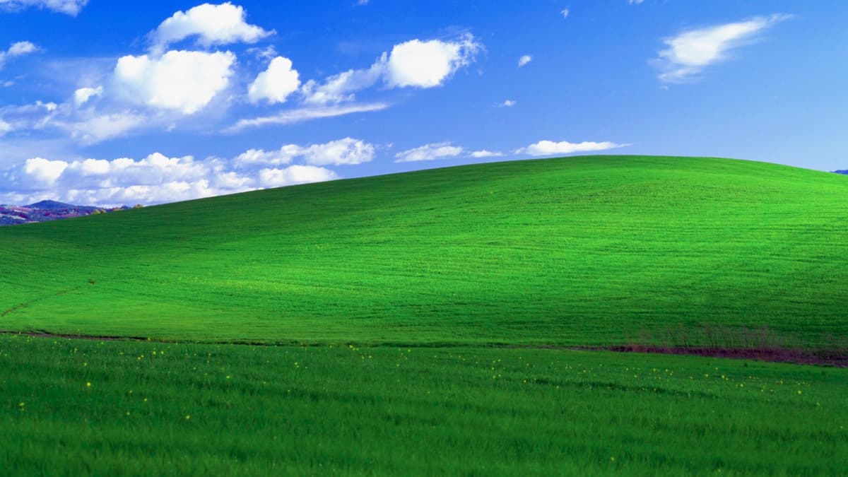 Reply image .jpg