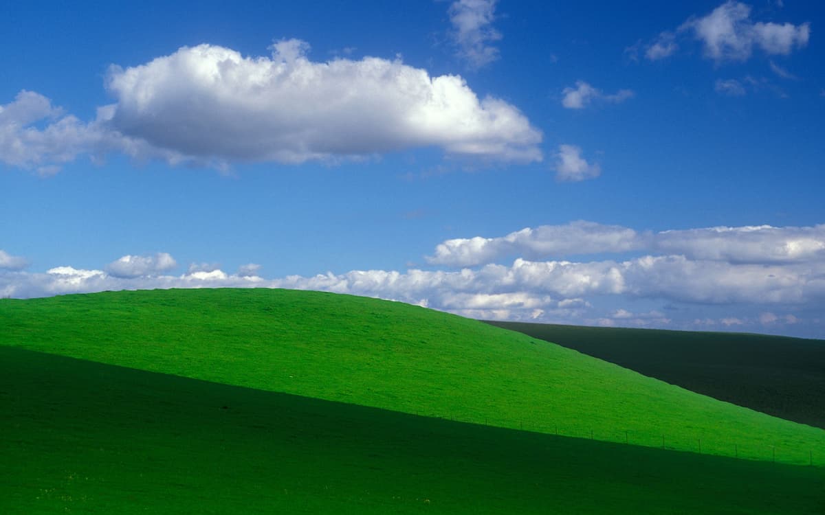 Reply image .jpg