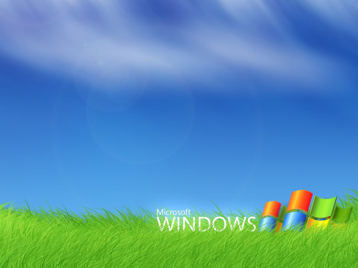 Reply image .jpg