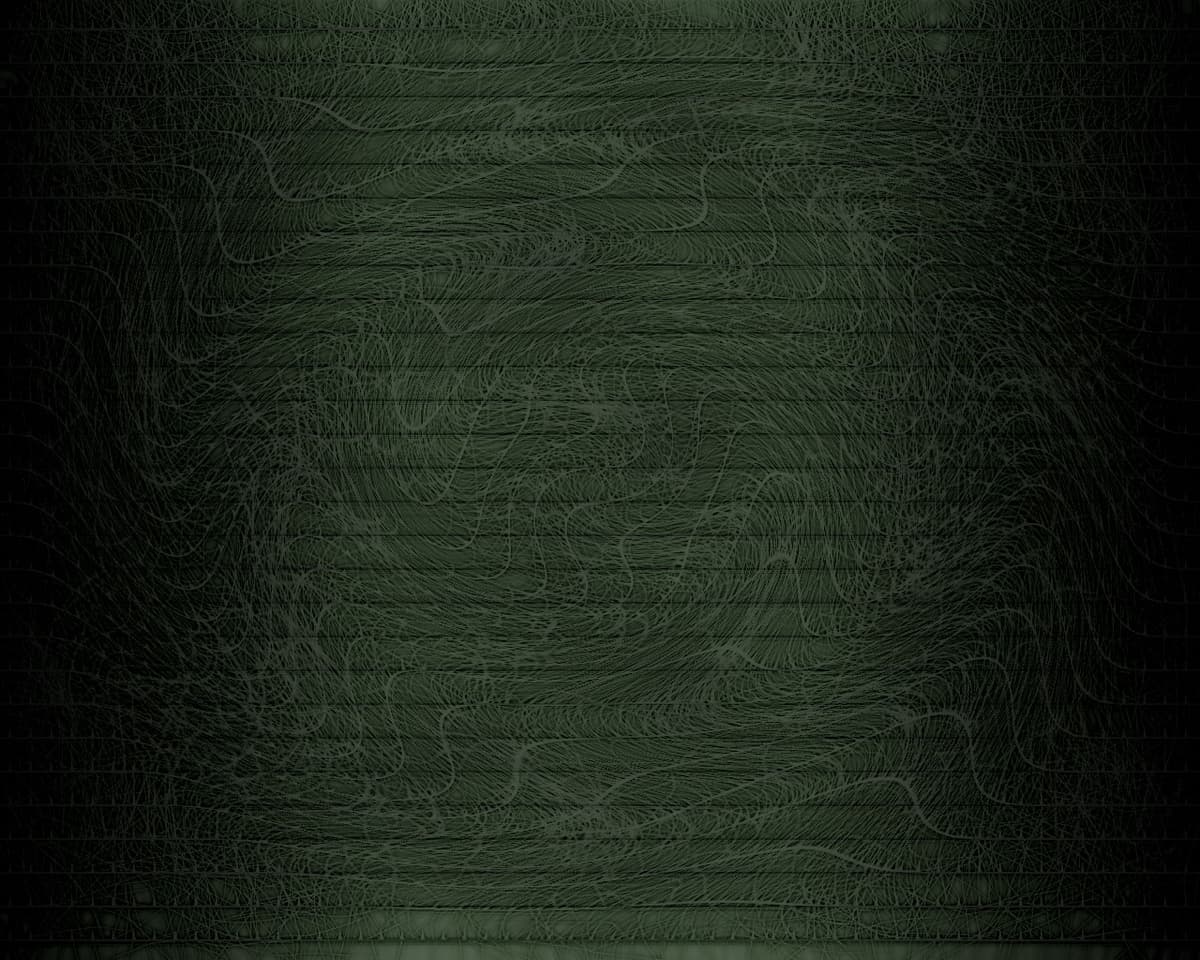 Reply image .jpg