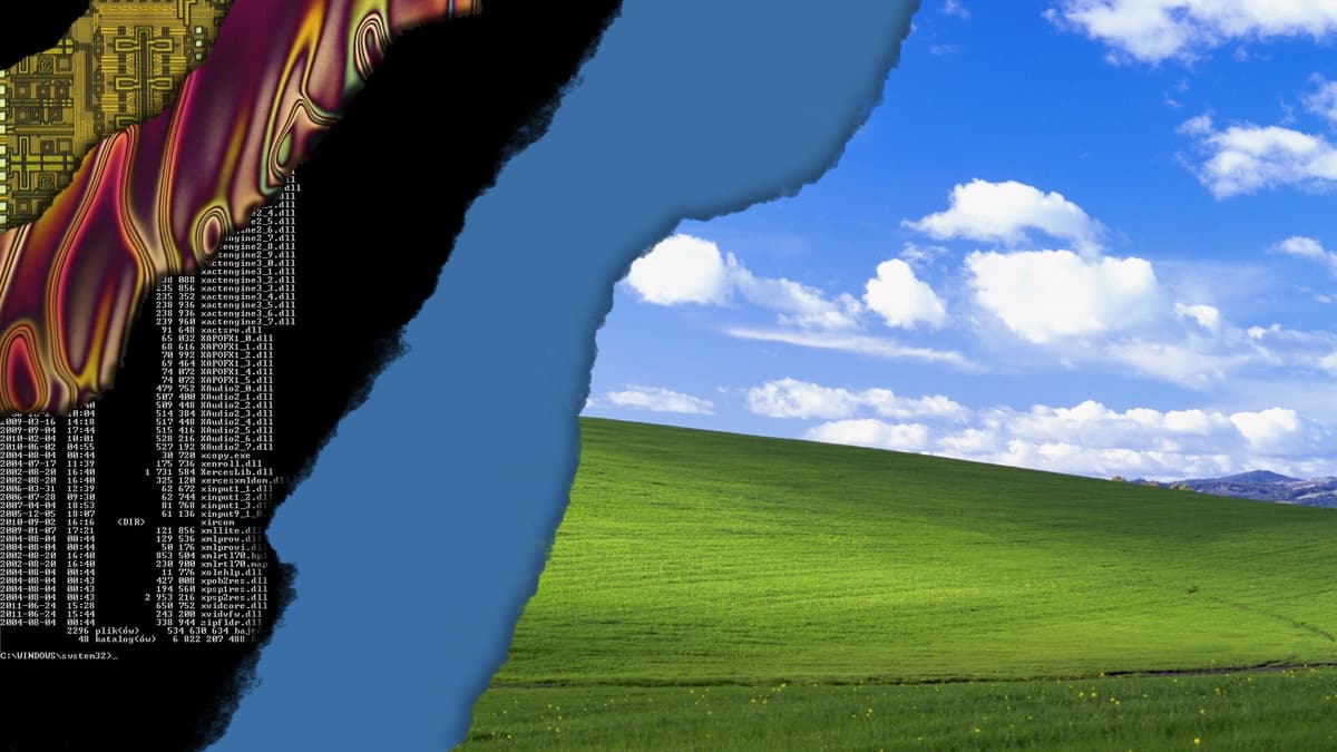 Reply image .jpg