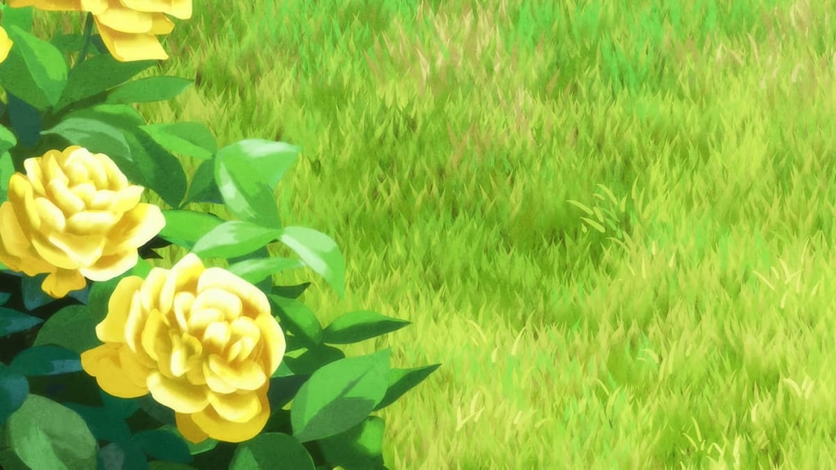 Reply image .jpg