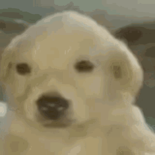 Thread image