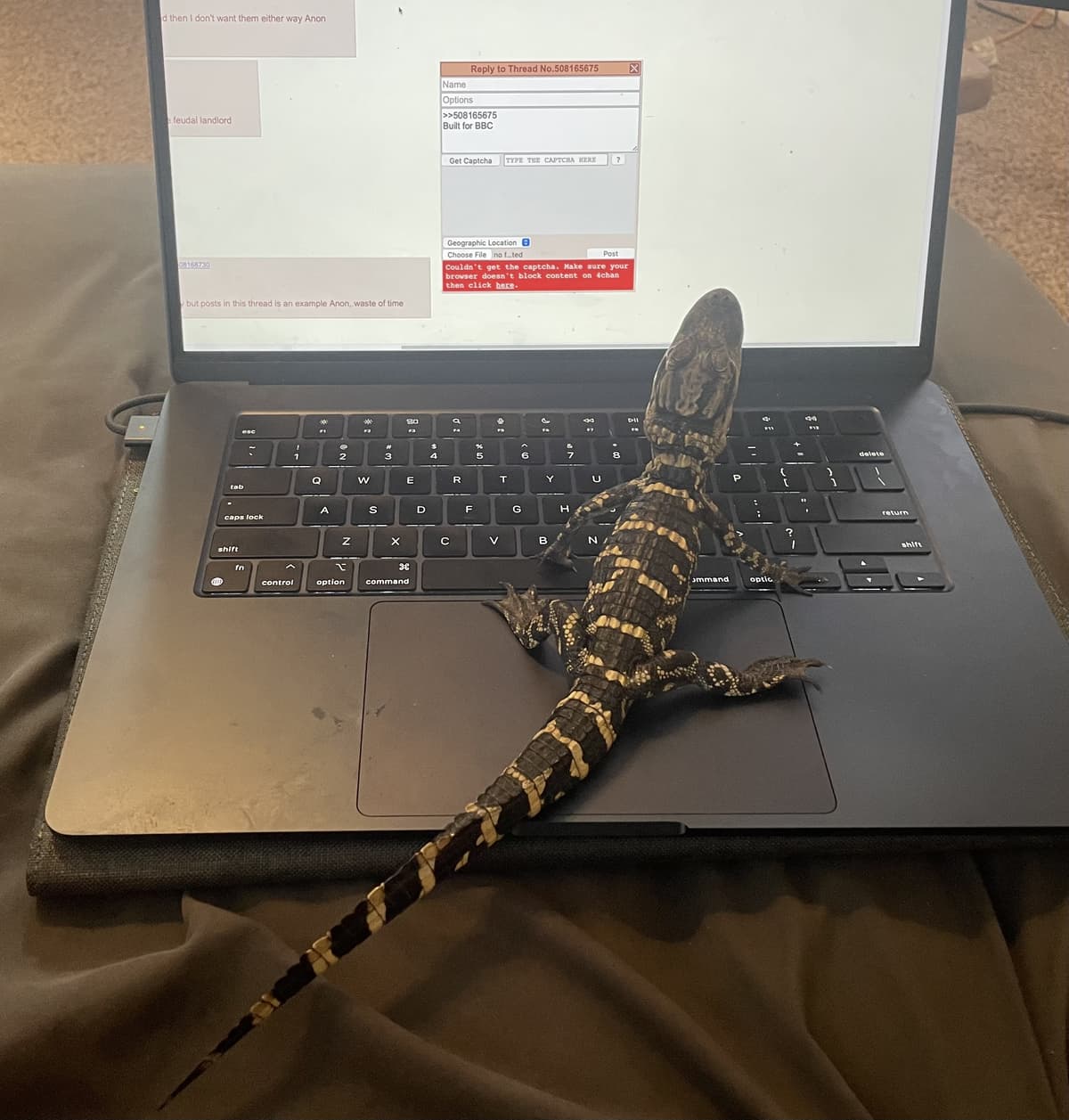 Thread image