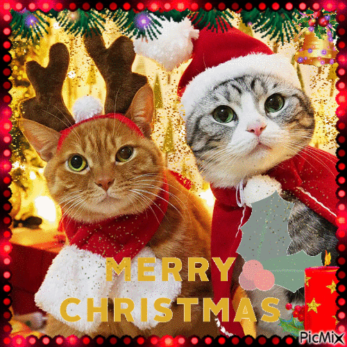 Reply image .gif