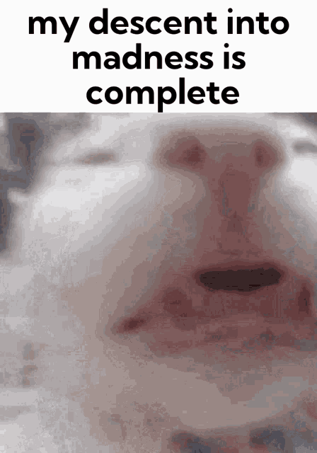 Reply image .gif