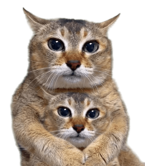 Reply image .png
