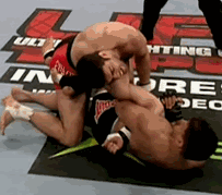 Reply image .gif
