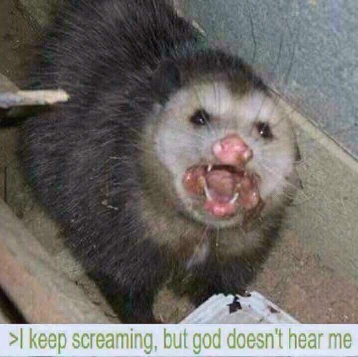 Reply image .jpg