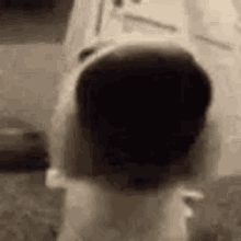 Reply image .gif