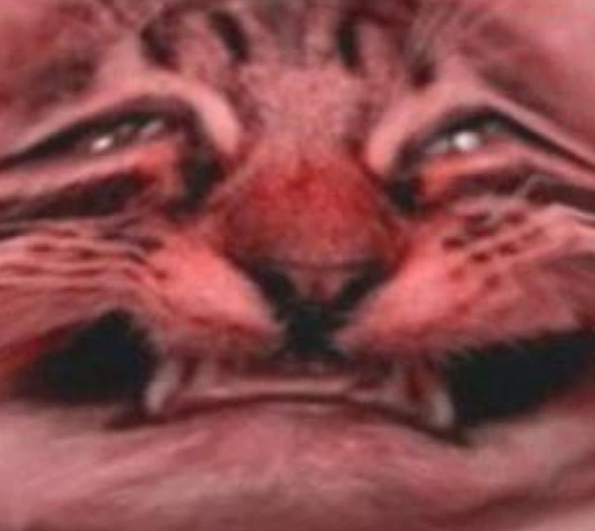 Reply image .jpg