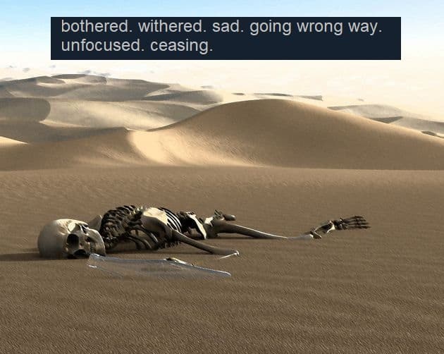 Reply image .jpg