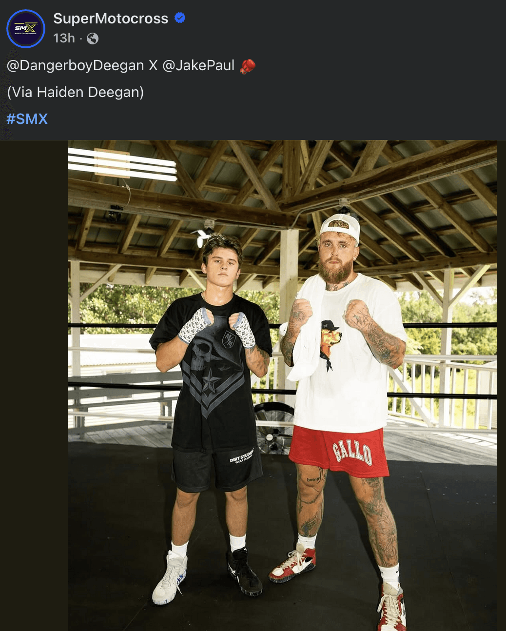 Reply image .png