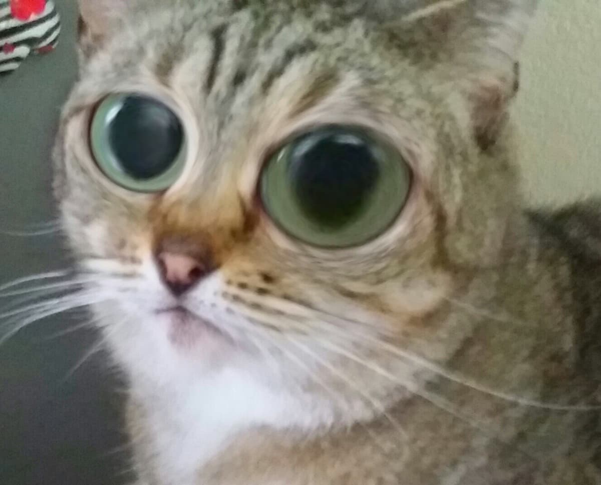 Reply image .jpg