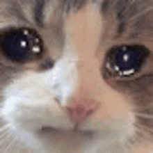 Thread image