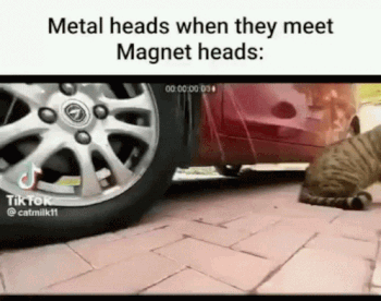 Thread image