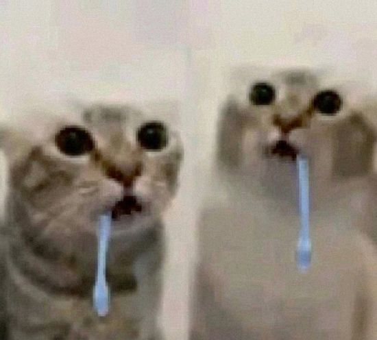 Thread image