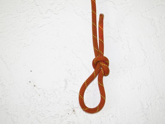 Thread image