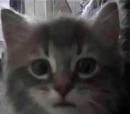 Thread image