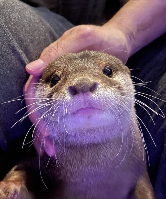 Thread image
