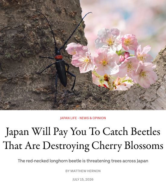 Thread image