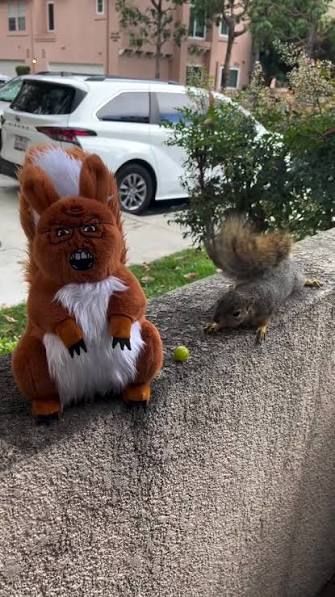 Thread image