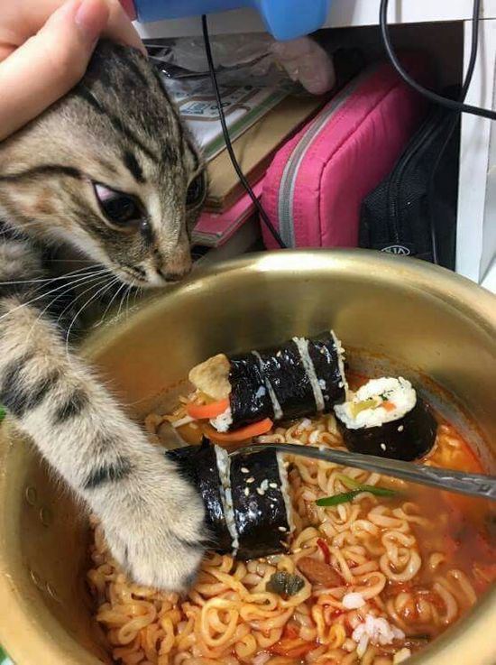 Thread image