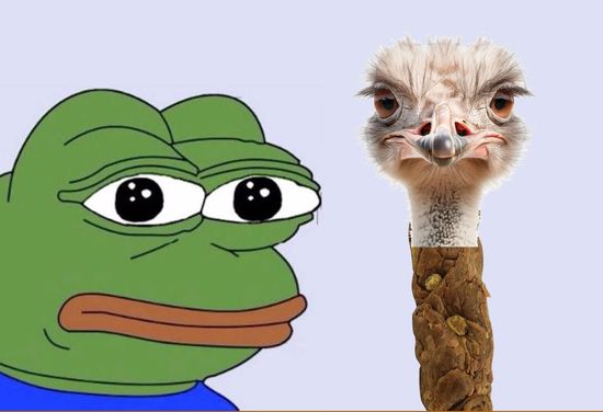 Thread image