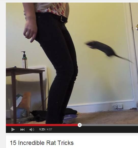 Thread image