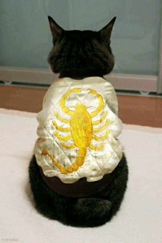 Thread image