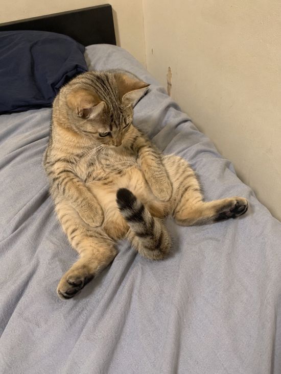 Thread image