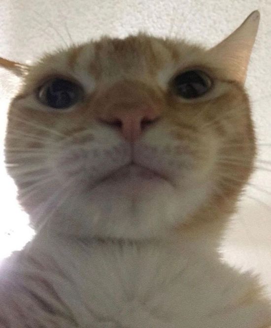 Thread image