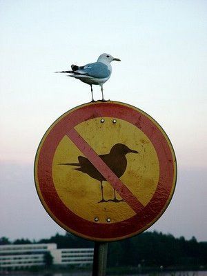 Thread image