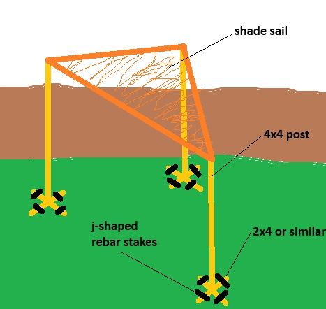 Thread image