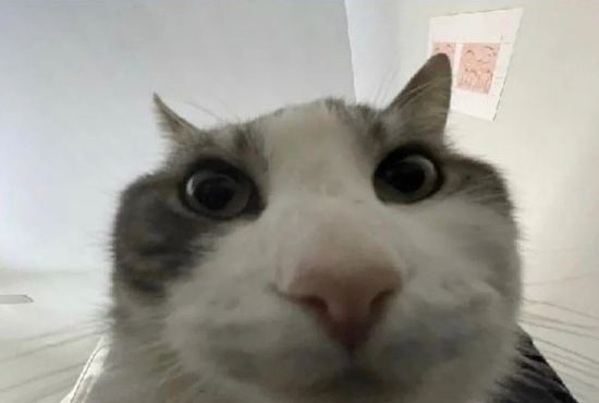 Thread image