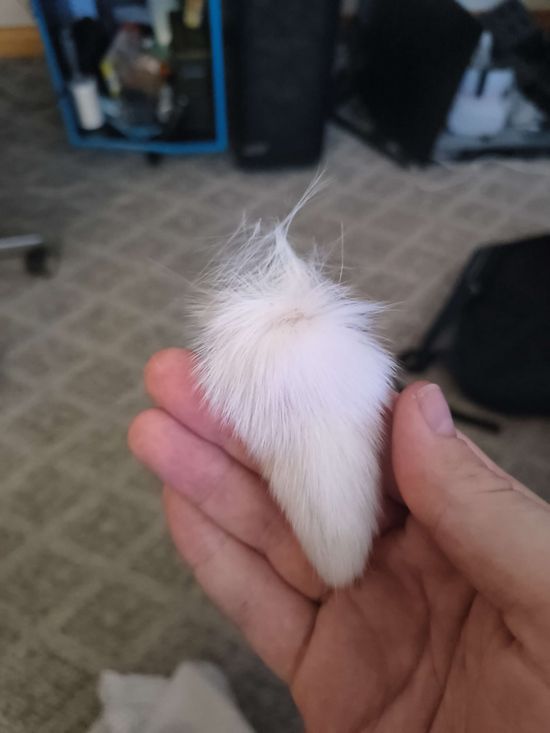 Thread image