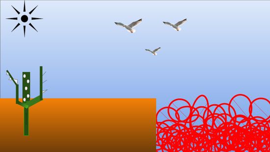 Thread image